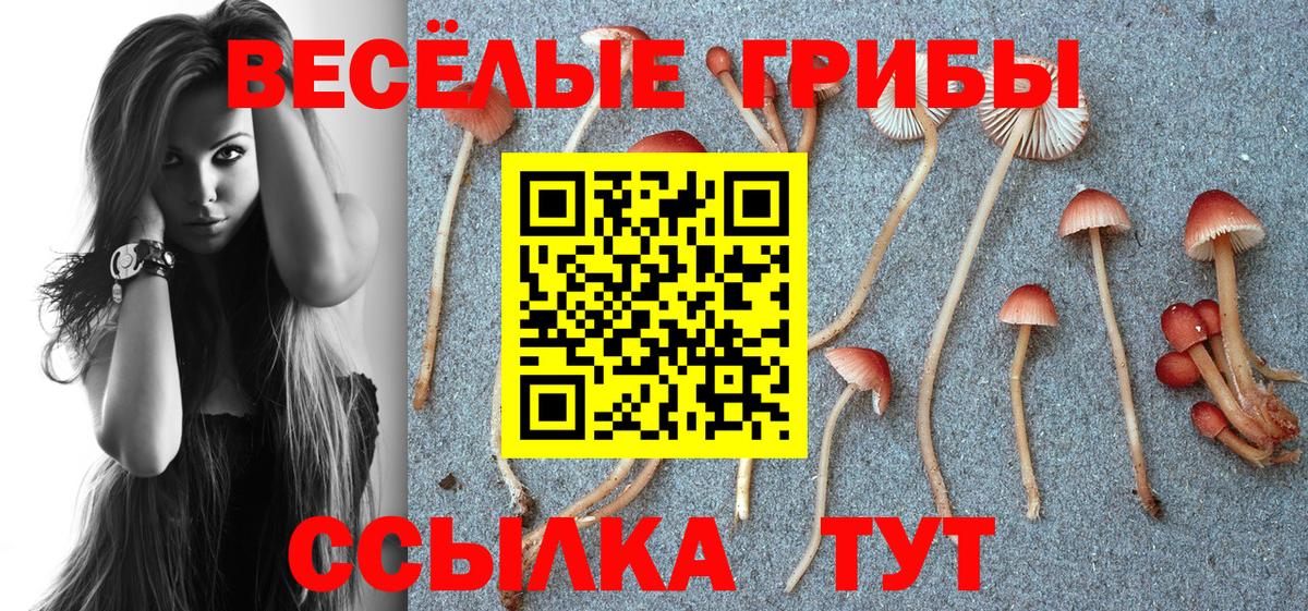 Псилоцибиновые грибы Psilocybine cubensis  Вход с VPN  Таганрог  Псилоцибиновые грибы мухоморы 